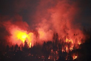 Au 30 juillet, le pays était ravagé par plus de 990 incendies, dont 613 jugés hors de contrôle. À cette date, plus de 12 millions d'hectares ont déjà brûlé cette année, un total bien supérieur à tout ce que le pays a déjà connu.
